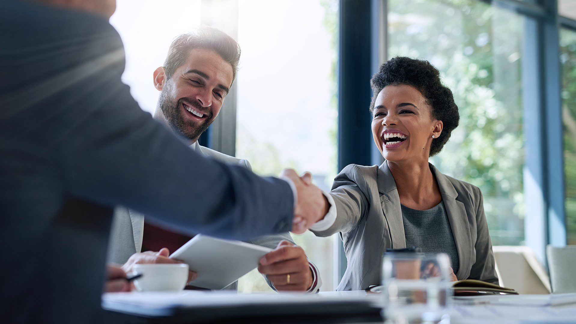 The Art of Negotiation